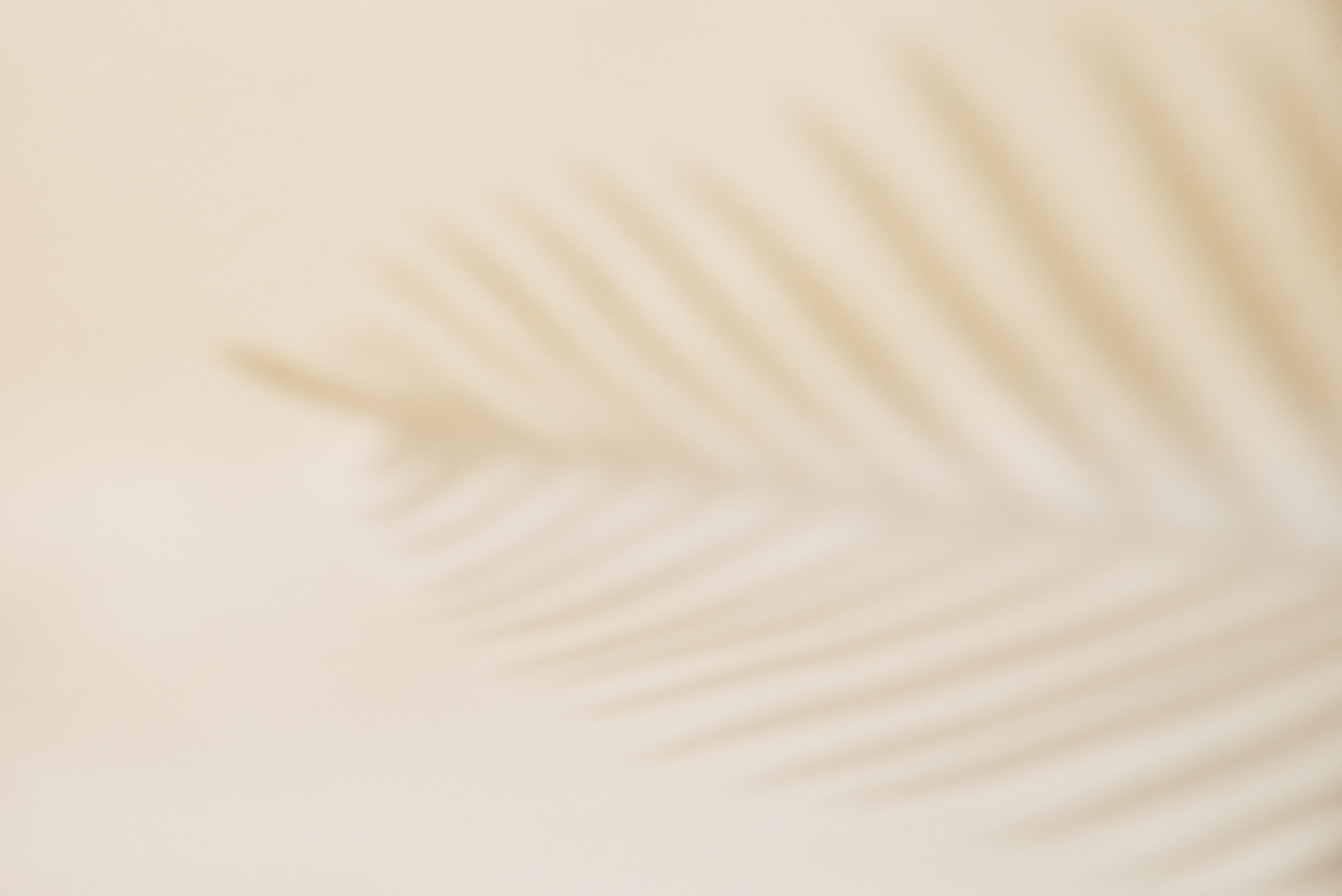 Shadow of palm leaf on pastel background